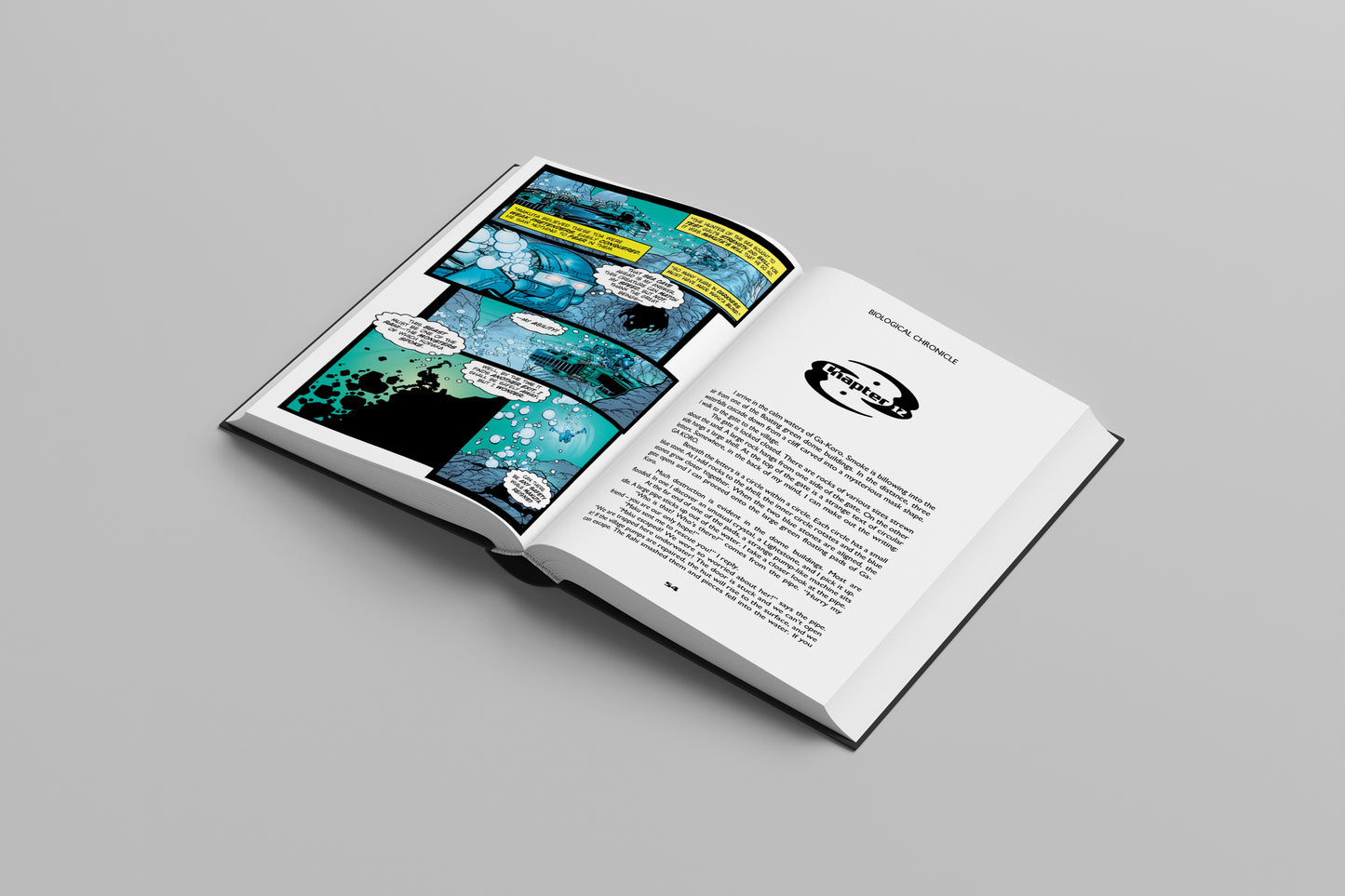 Biological Chronicle 4 Volume Full 10 Book Set | Limited Lettered Edition